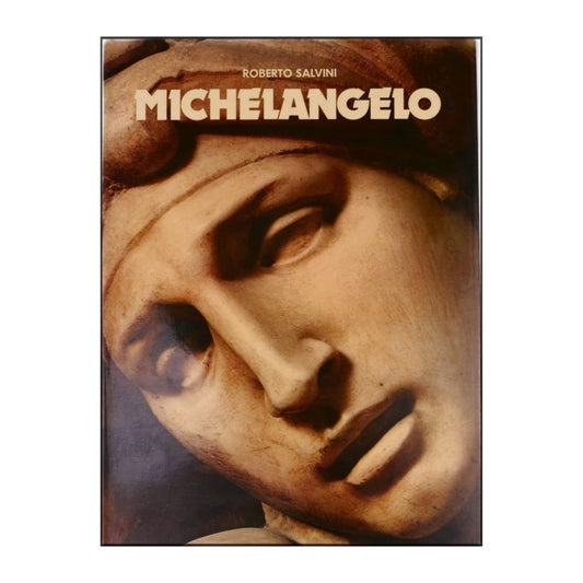 Roberto Salvini: Michelangelo