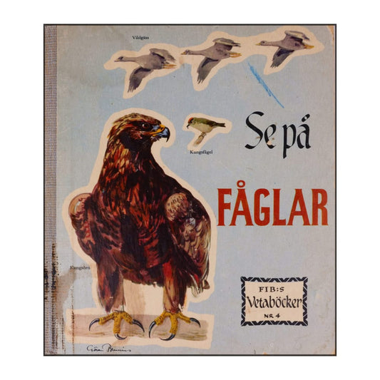 Se På Fåglar