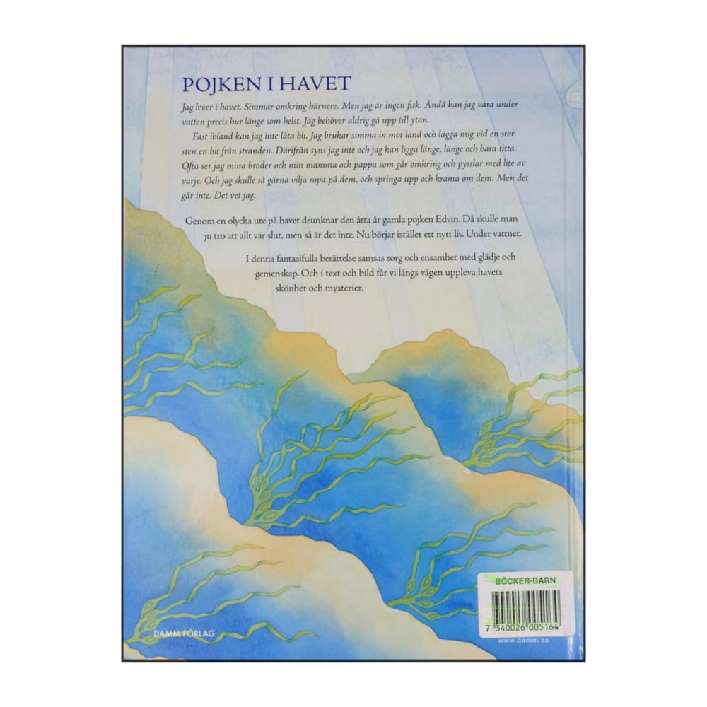 Erik Magntorn: Pojken I Havet