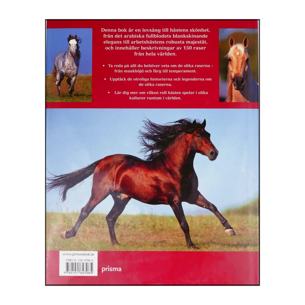 Nicola Jane Swinney: Världens Hästraser