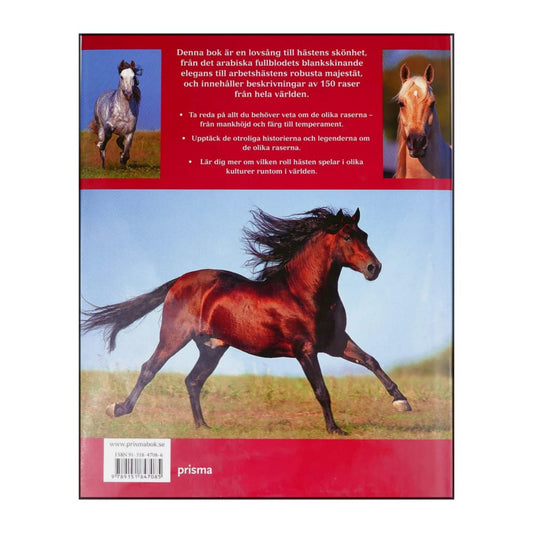 Nicola Jane Swinney: Världens Hästraser