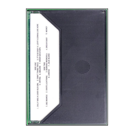 Waylon Jennings: Sally Was A Good Old Girl