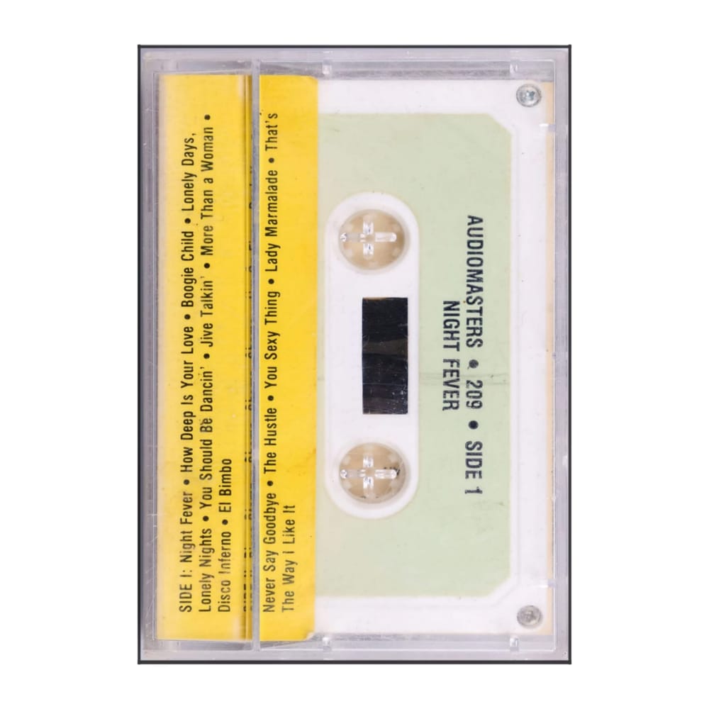 Audiomasters: Disco Fire!