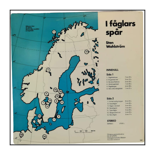 Sten Wahlströms: I Fåglars Spår