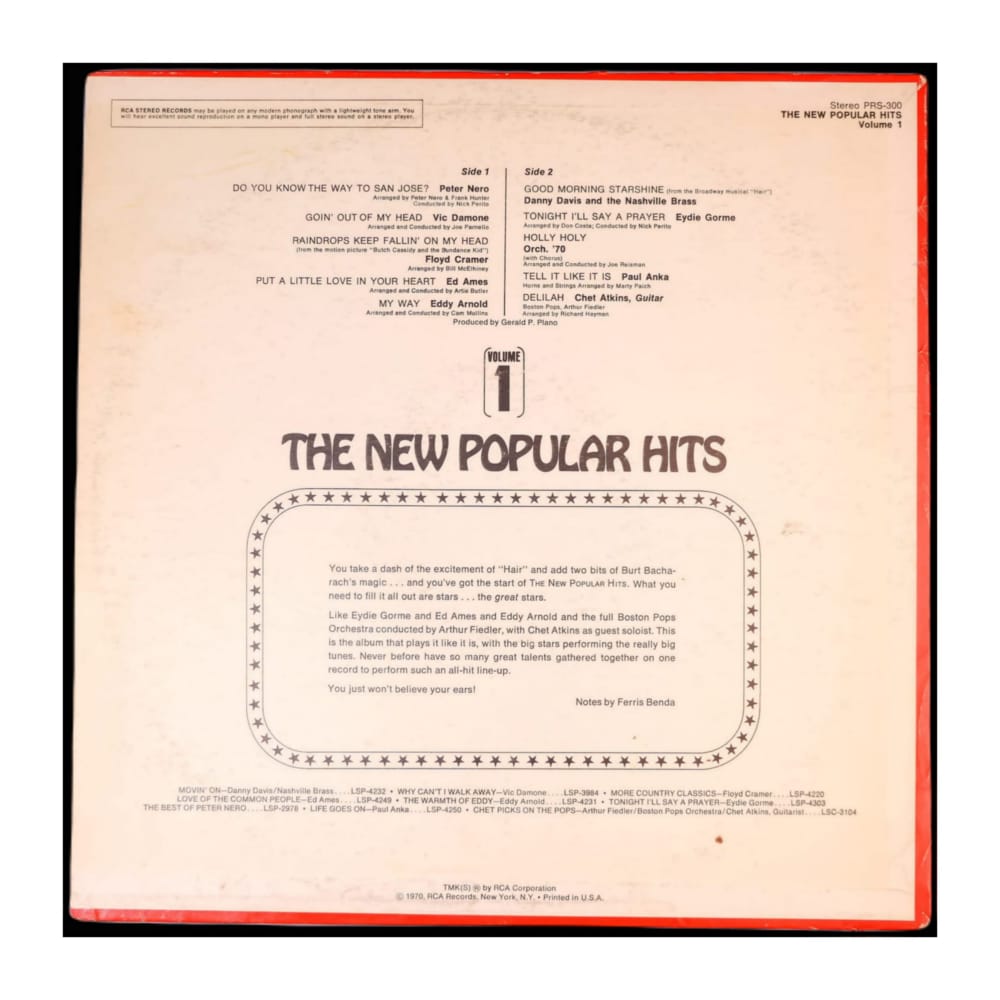 The New Popular Hits 1