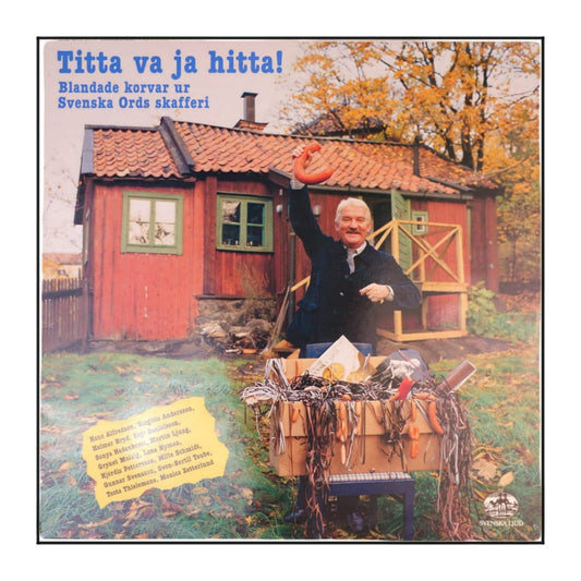Titta Va Ja Hitta! Blandade Korvar Ur Svenska Ords Skafferi