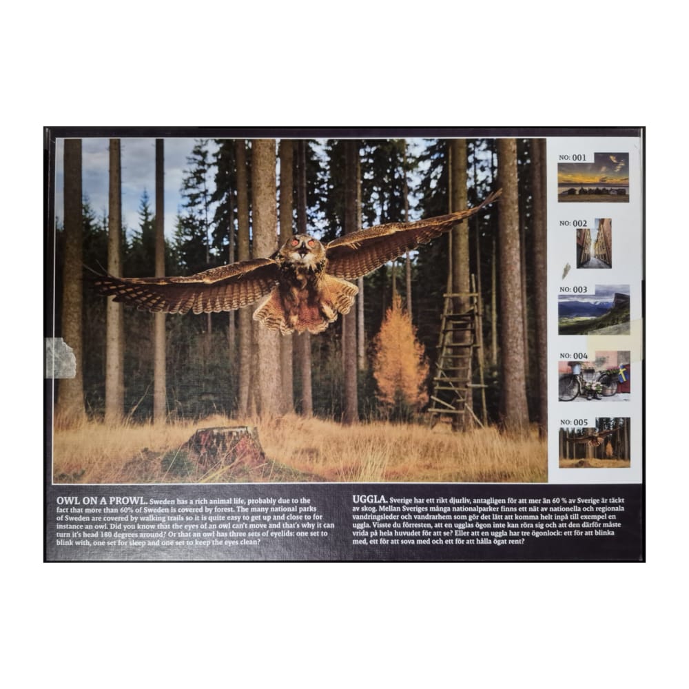 Quality Puzzles 1000Pcs Nr 005 Owl On A Prowl 670Mm X 470Mm