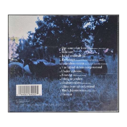 Ainbusk: I Midvintertid: En Jul På Gotland