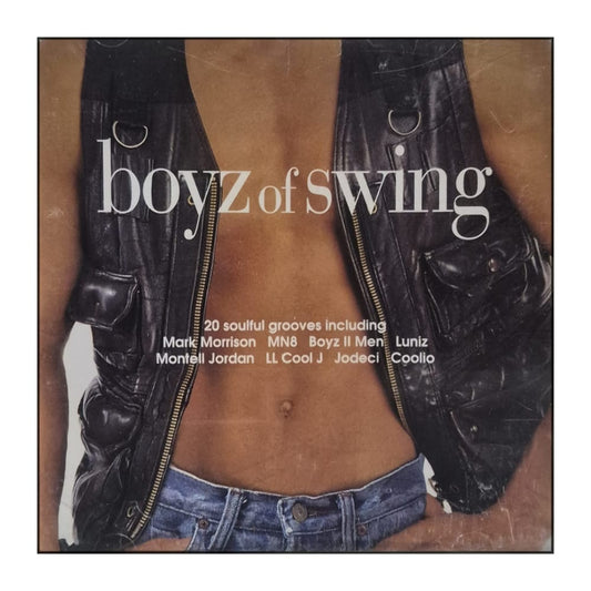 Boyz Of Swing: 20 Soulful Grooves