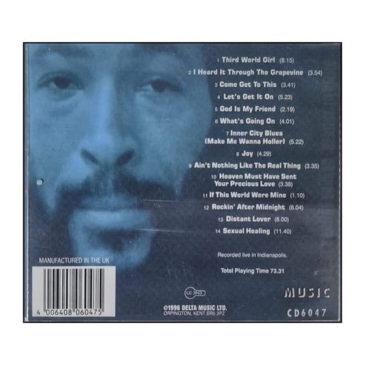 Marvin Gaye: Sexual Healing