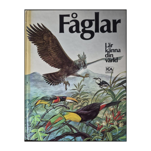 Fåglar Lär Känna Din Värld