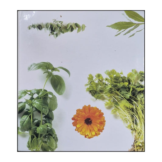 Örternas Hemliga Värld