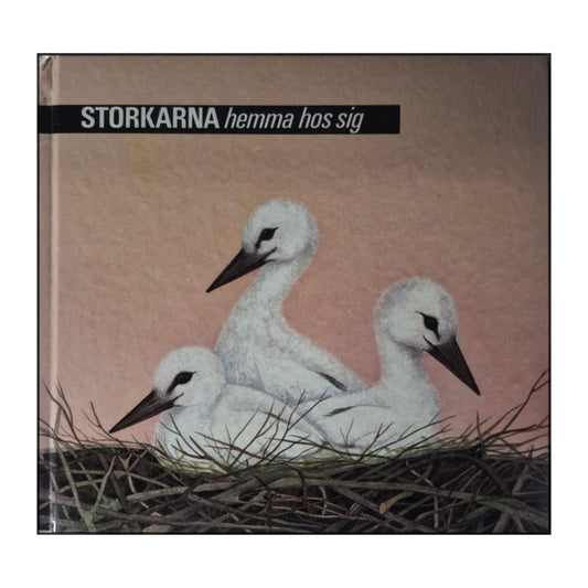 Iliane Roels: Hemma Hos Sig: Storkarna