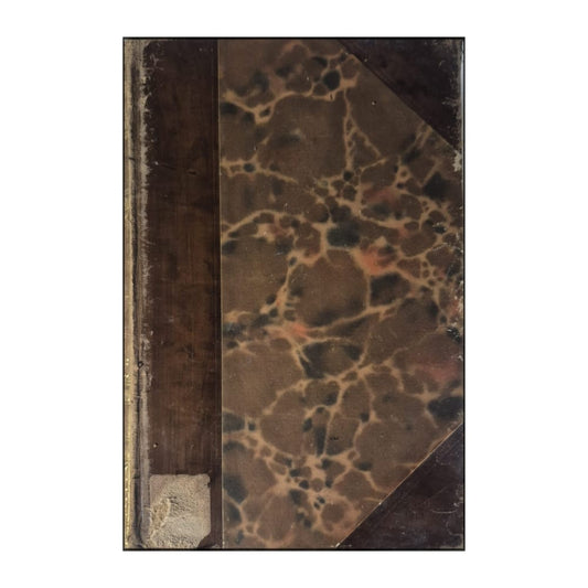 Émile Zola: Fällan