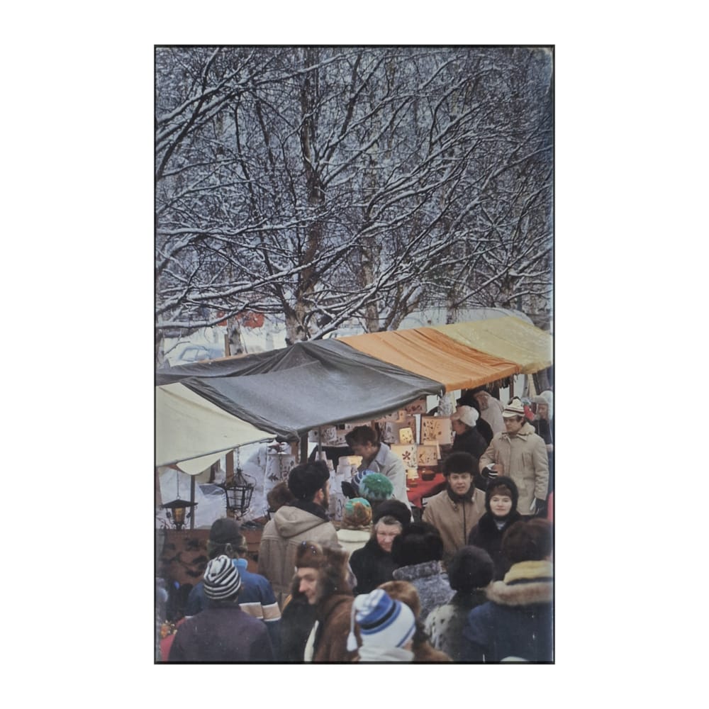 Nils Hövenmark: Adjunkt På Villovägar