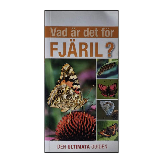 Den Ultimata Guiden: Vad Är Det För Fjäril