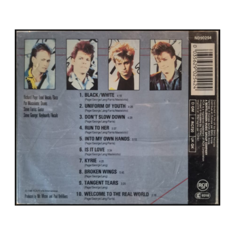 Mr. Mister: Welcome to the Real World