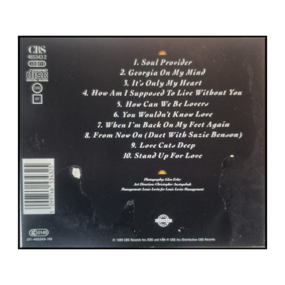 Michael Bolton: Soul Provider