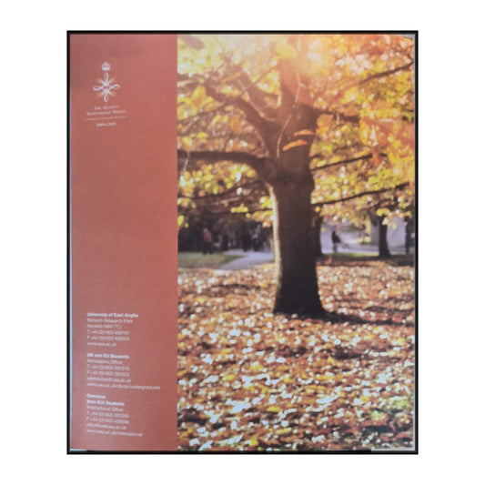 University Of East Anglia: Undergraduate Prospectus 2013