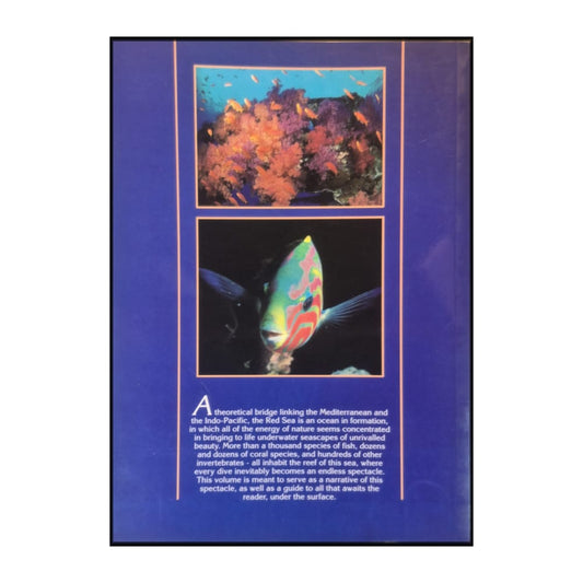 Angelo Mojetta: Red Sea: An Underwater Paradise