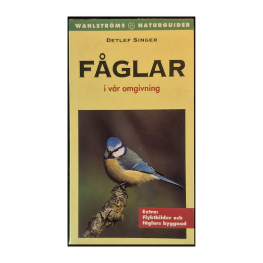 Detlef Singer: Fåglar I Vår Omgivning