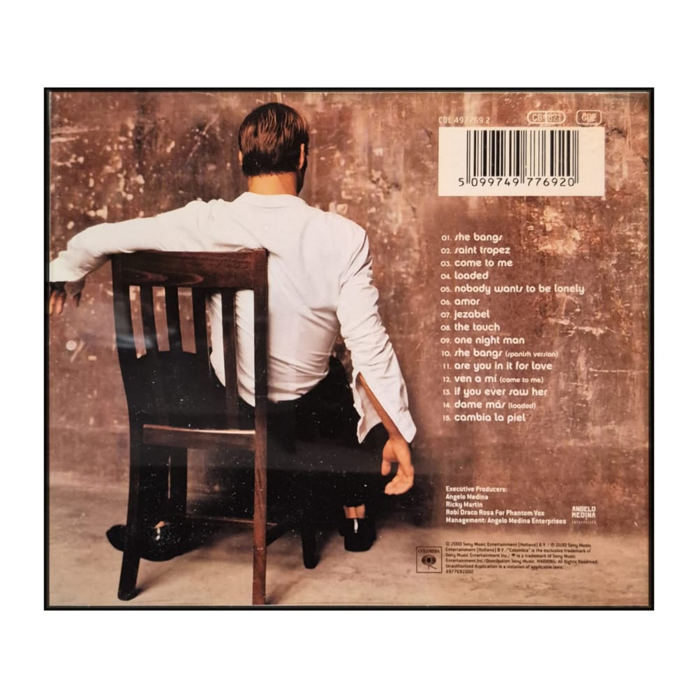 Ricky Martin: Sound Loaded