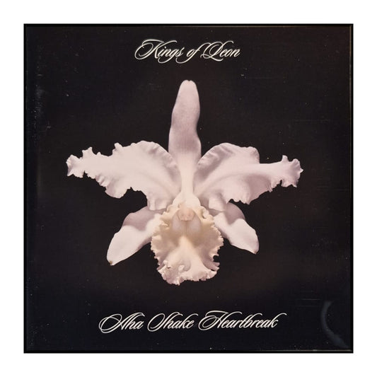 Kings Of Leon: Only By The Night