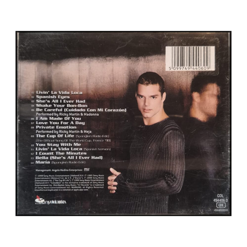 Ricky Martin: Living La Vida Loca