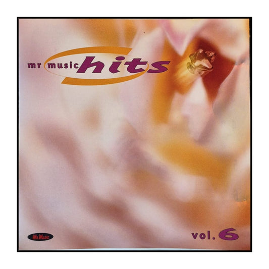 Mr Music Hits 1999-06