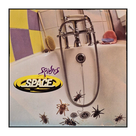 Space: Spiders