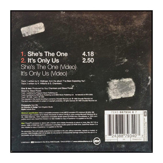 Robbie Williams: She'S The One / It'S Only Us