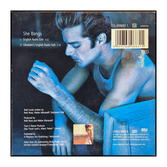 Ricky Martin: She Bangs