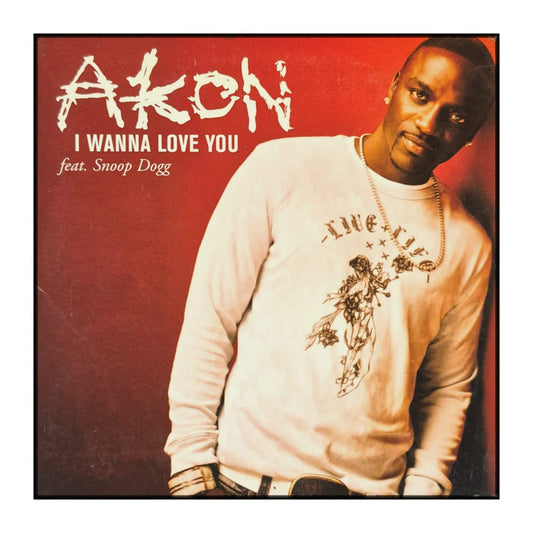 Akon: I Wanna Love You