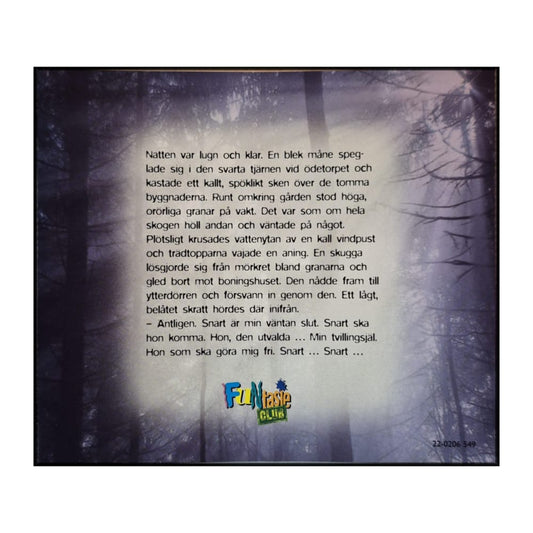 Eli B. Toresen: Tvillingsjälar