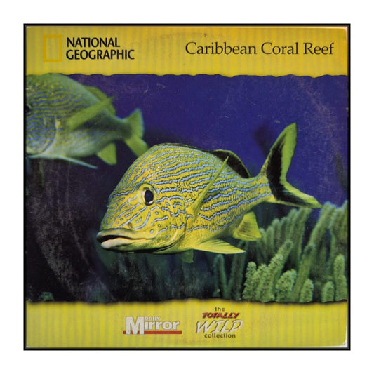 National Geographic: Totally Wild: Caribbean Coral Reef