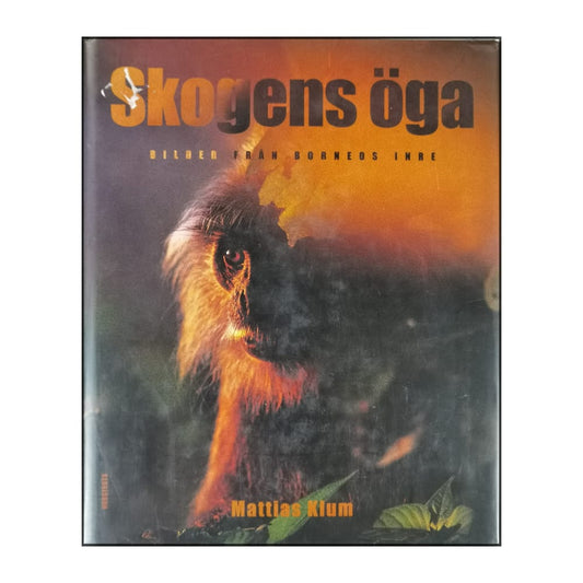 Mattias Klum: Skogens Öga: Bilder Från Borneos Inre