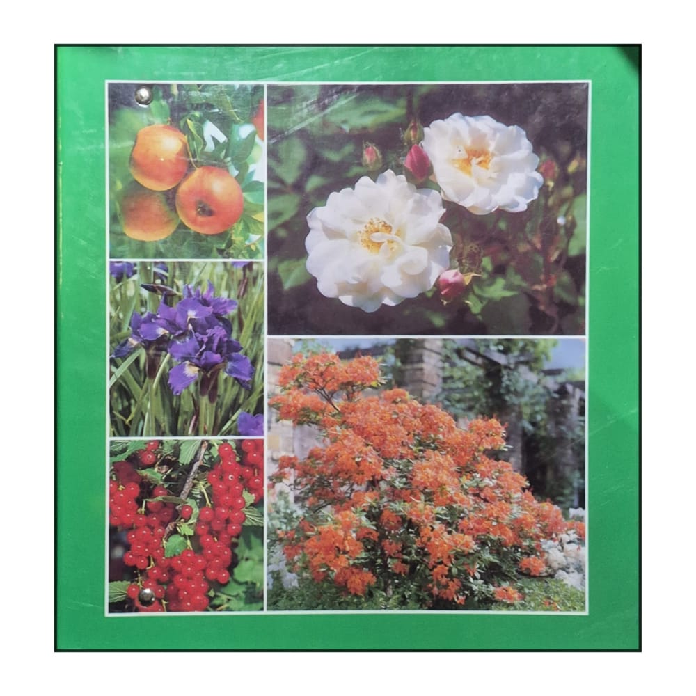 Lyckas Med Trädgården