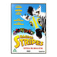 Racing Stripes