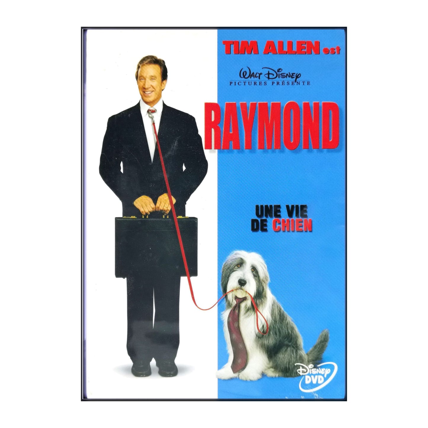 The Shaggy Dog | Raymond