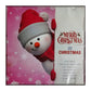 Merry Christmas: 20 Christmas Classics