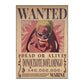 One Piece: Wanted Poster Donquixote Doflamingo 340000000 (420mm x 285mm)