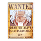 One Piece: Wanted Poster Silvers Rayleigh ? (ART2) (420mm x 285mm)