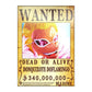 One Piece: Wanted Poster Donquixote Doflamingo 340000000 (ART2) (420mm x 285mm)