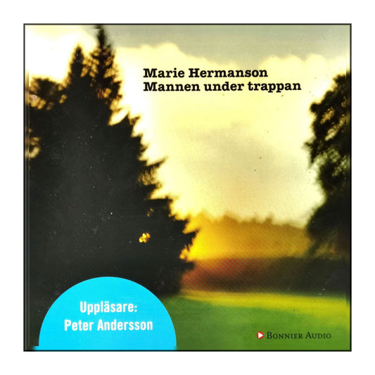 Marie Hermanson: Mannen Under Trappan