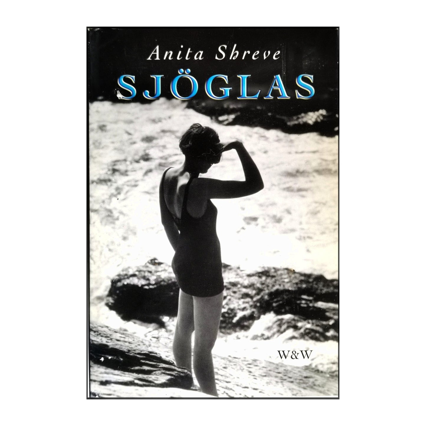 Anita Shreve: Sjöglas