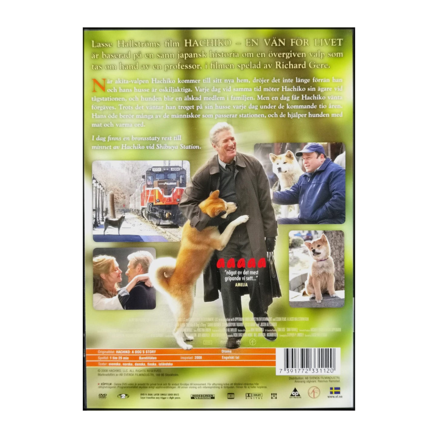 Hachi | Hachiko