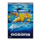 Oceans