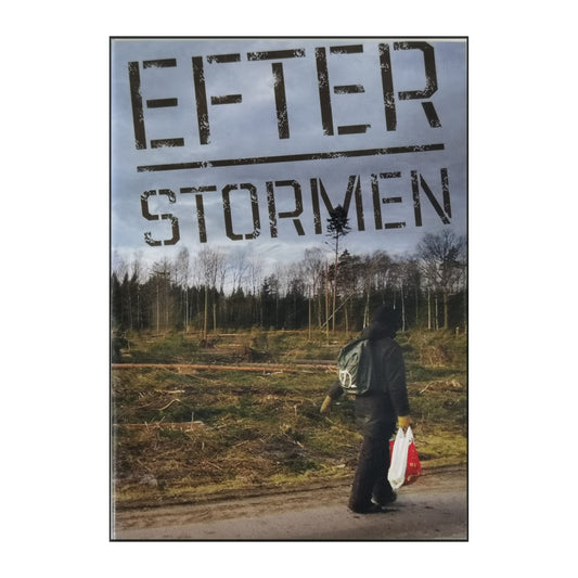 Efter Stormen