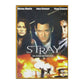 The Stray