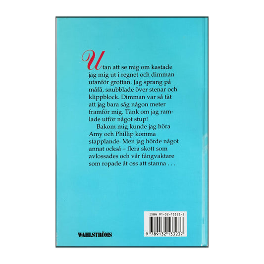 Mary Downing Hahn: Farligt Sommarlov